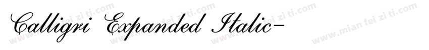 Calligri Expanded Italic字体转换